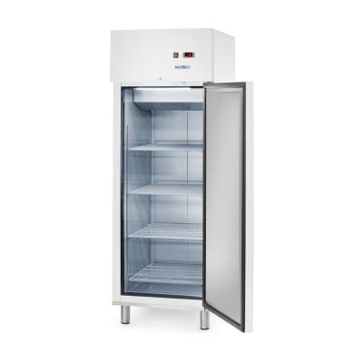 Lednice, jednokřídlé dveře, Arktic, GN 2/1, 465L, 230V/250W, 700x880x(H)2043mm | 236673